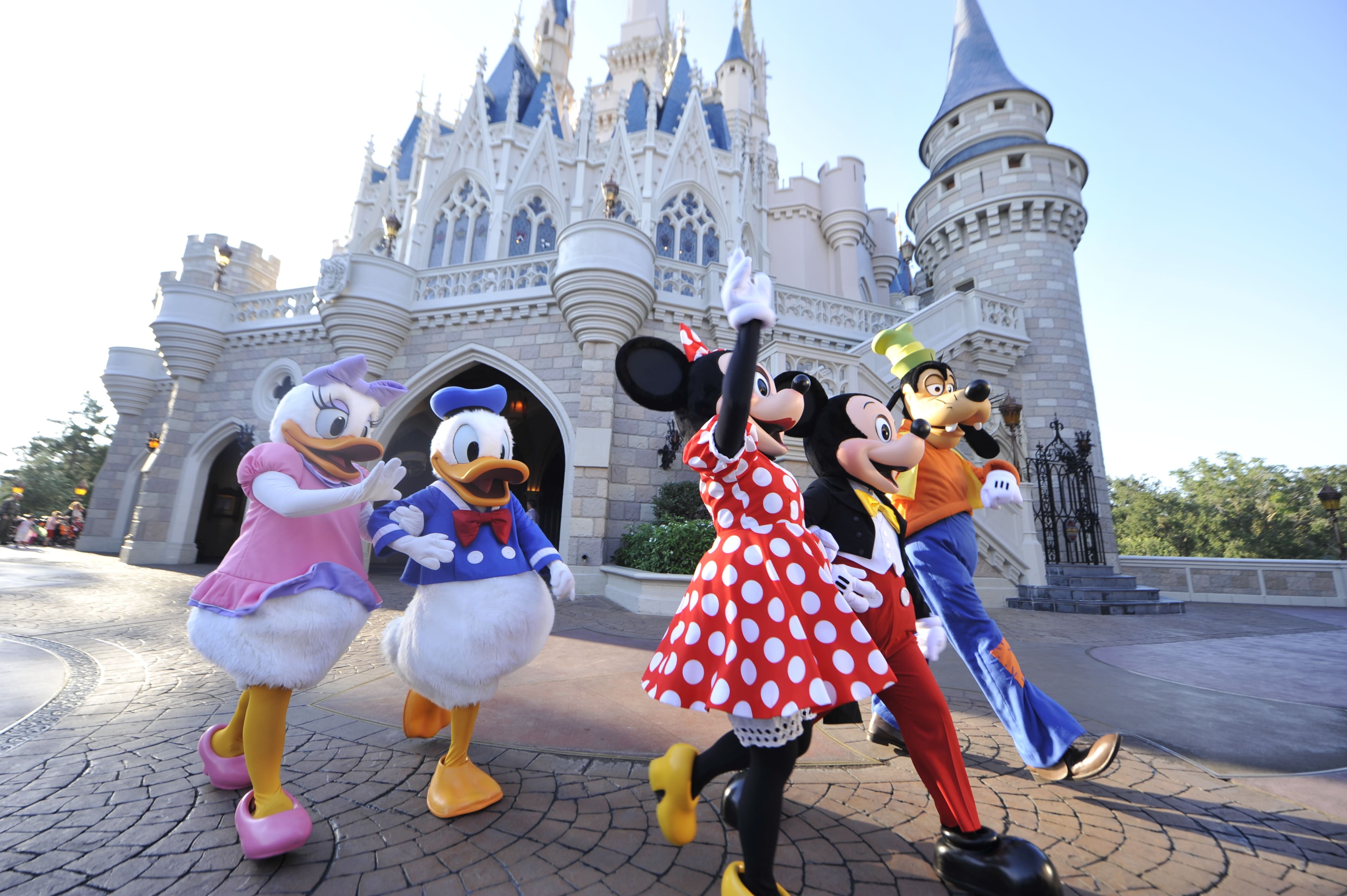 disney Tire Seu visto disney Tire Seu visto